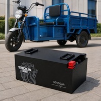 Batterie LiFePO4 60V 50Ah pour Tricycle Électrique et Vélo Électrique, 3000 Cycles, IP65, BMS, Boîtier ABS, Cellule Cylindrique, Direct Usine