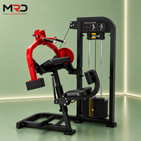Machine d'extension des triceps, équipement d'entraînement de la force des bras, équipement de fitness commercial pour salle de sport, machine d'entraînement du haut du corps