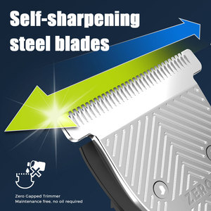 Ensemble de toilettage pour hommes, tondeuse à barbe en acier inoxydable, étanche, tondeuse à cheveux, rasoir rechargeable, utilisation humide ou sèche, 5 en 1 - Product Image 2