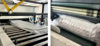 Matelas compressé sous vide peu encombrant, format King, Queen, Twin, Full, matelas hybride à ressorts ensachés pour mobilier de chambre