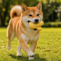 Jouet couineur pour chien en latex naturel, adorable jouet à mâcher pour chien en forme de gingembre, jouet de dentition souple pour chiots et chiens de petite et moyenne taille