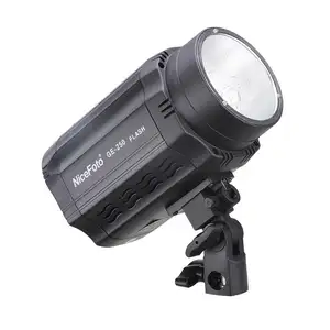 GE-250 250W NiceFoto Mini Studio Flash Light GN55 CCT 5500 Strobe flash photo light photographic equipment for video shooting