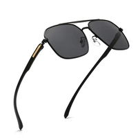 Lunettes surdimensionnées polarisées de haute qualité Lunettes de soleil PC TAC tendance de marque privée de Chine
