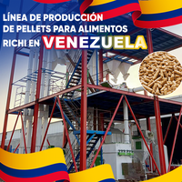 Usine de fabrication d'aliments pour animaux RICHI Venezuela - Ligne de production de granulés d'aliments pour animaux avec moteurs Siemens pour l'alimentation des volailles et du bétail