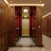Ascenseur résidentiel pour passagers, en acier inoxydable, à traction sans engrenage, commande intelligente, pour maison, villa, supermarché, hôtel, parc