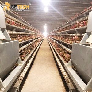 Nuova Gabbia a Batteria per Galline Ovaiole a 3 Livelli in Acciaio Zincato a Caldo Tipo A per Allevamenti di Polli in Vendita - Product Image 3