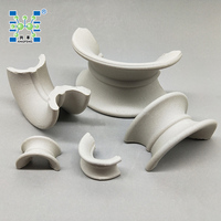Emballage aléatoire en céramique Intalox Saddle Chemical Porcelain pour colonne de pulvérisation