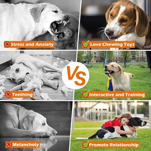 Interaktif köpek oyuncak eğitim flört kutup örgülü polar oyuncak güçlü kordon teleskopik çubuk köpek flört kutup Pet halat ile çiğnemek oyuncak - Product Image 2