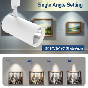 Hotel Store Home LED White <b>Track</b> <b>Light</b> 35W 5CCT Selectable Led Head <b>Track</b> <b>Lights</b> 2700K 3000K 5000K <b>Track</b> <b>Light</b> Housing - Product Image 4