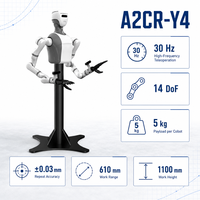 Robots collaboratifs intelligents de peinture par pulvérisation haute puissance personnalisables pour l'automatisation industrielle, construction en alliage métallique, marque CAI