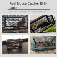 Vente flash : Pièges à cage pliables pour petits animaux, efficaces pour les chats, les lapins, les écureuils, les renards, les ratons laveurs, les cochons, les chiens - Contrôle des nuisibles