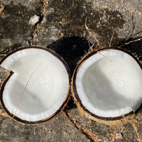Kelapa Premium segar DENGAN HARGA TERBAIK langsung dari VIA - Vietnam!