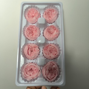 Top Qualité Éternel Réel Préservé Austin Fleurs <span class=keywords><strong>Rose</strong></span> David Austin Préservé Austin Fleur pour DIY Artisanat Bouquet <span class=keywords><strong>De</strong></span> Fleurs Sèches - Product Image 4