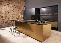 2024 HangZhou Vermont sur mesure nouveau produit moderne haut de gamme métal brossé laque panneau de porte armoires de cuisine métal acier brossé