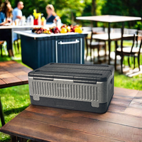 Glacière portable en mousse EPP légère, pliable, sans glace, pour une utilisation en extérieur, isolée thermiquement pour le stockage des aliments