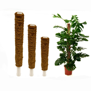 New Zealand Moss Pole Anti Mold Botonical Garden Climb Coir Totem Indoor Plastic Stackable Plant Support