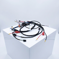 Maßgefertigte Motorrad-Elektrosystem-Kabelkonfektion Batterie-Aufbewahrungskabel OEM/ODM