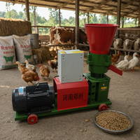 Machine à granulés d'aliments pour volailles, lapins, poissons, bovins, oiseaux et porcs pour usage agricole, équipement essentiel pour les fermes d'élevage
