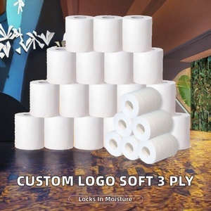 Papier toilette écologique 10 rouleaux, pâte de bois vierge, doux, durable, jetable, absorbant, paquet de papier toilette pour salle de bain, OEM, étiquette privée - Product Image 2