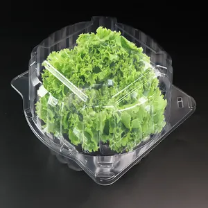 Wholesale transparent lettuce crisper packaging For All Your