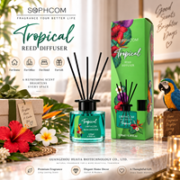 Ensemble diffuseur de parfum à bâtonnets en rotin sous marque privée avec flacon en verre et bâtonnets personnalisés pour collections de parfums d'ambiance en vente au détail