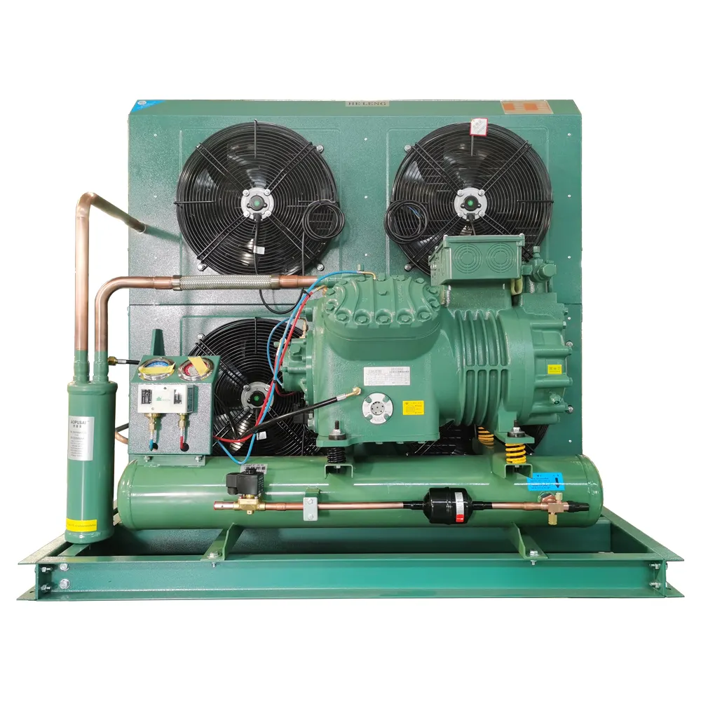 Unidad de condensación de refrigeración Unidad de compresor de refrigerante freón-20 Uso de cámara fría Evaporador de 7hp