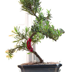 Usine en gros 90 degrés plante cintreuse 90 degrés plante cintreuse forme en pot en plastique tuyau cintreuse pince en plastique plante - Product Image 4