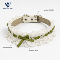 Collier pour chat en ruban de dentelle avec nœud et boucle argentée, collier élégant et réglable pour chaton avec anneau en D, ensemble de collier pour animaux de compagnie avec laisse de 120 cm