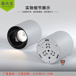 ไฟดาวน์ไลท์แบบติดพื้นผิว Cob 30W 40W 50W 60W 80W 100W แอลอีดี อะลูมิเนียมหล่อขึ้นรูป กันน้ำ IP65 ไฟสปอตไลท์ทรงกลม - Product Image 3