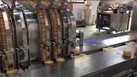 Skywin Machine à emballer automatique à grande vitesse personnalisée pour le chargement de biscuits