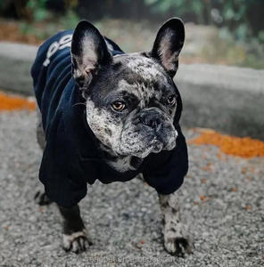 <span class=keywords><strong>Abrigo</strong></span> con Capucha de Marca para Perros Grandes Tallas XS-9XL Ropa de Invierno Verano para Mascotas Sencilla para Perros Pequeños Medianos y Grandes Disponible en XXL XL - Product Image 6