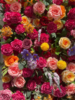 Artificielle 5D Couleurs Vives Soie Pivoine Rose Soie Fleur Mur Toile de Fond Panneau Mariage Décoration Fleur Mur