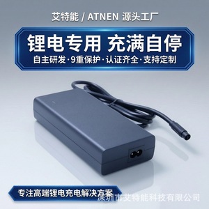 Détecteur de sonar de haute mer personnalisé, batterie au lithium, solution de charge rapide, contrôle de la température, chargeur de bureau 29.2V 29.4V 58.8V - Product Image 4