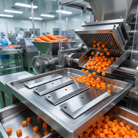 Precisie snijmes 160x58x3mm SUS304 roestvrij staal dubbelgepolijste rand voor groentesnijmachine OEM ODM