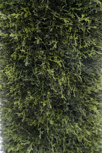 ต้นไม้พุ่มเทียมทรงกรวยทำจากพลาสติกและโลหะสูง1.9เมตรสำหรับตกแต่งภายในและภายนอกอาคาร - Product Image 5