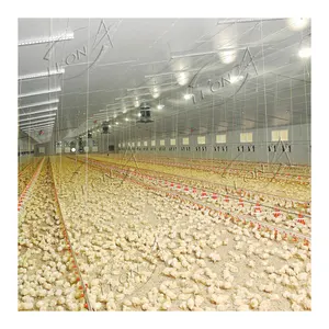 High quality automatic poultry equipment for broiler chicken farms