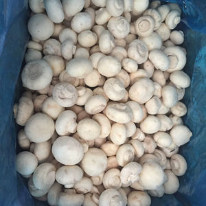 Champignon blanc entier congelé IQF biologique cultivé/Champignon inférieur - Product Image 2