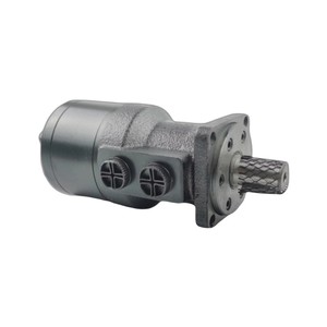 OEM DOM BM1 động cơ thủy lực <span class=keywords><strong>50cc</strong></span> 63cc 80cc 100cc 125cc 160cc 200cc 250cc 315cc 400cc 500cc - Product Image 6