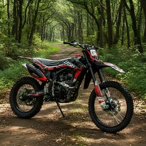Лидер продаж, высокопроизводительный внедорожный бензиновый мотоцикл 250cc, двигатель со стальной рамой, продукт высокого спроса