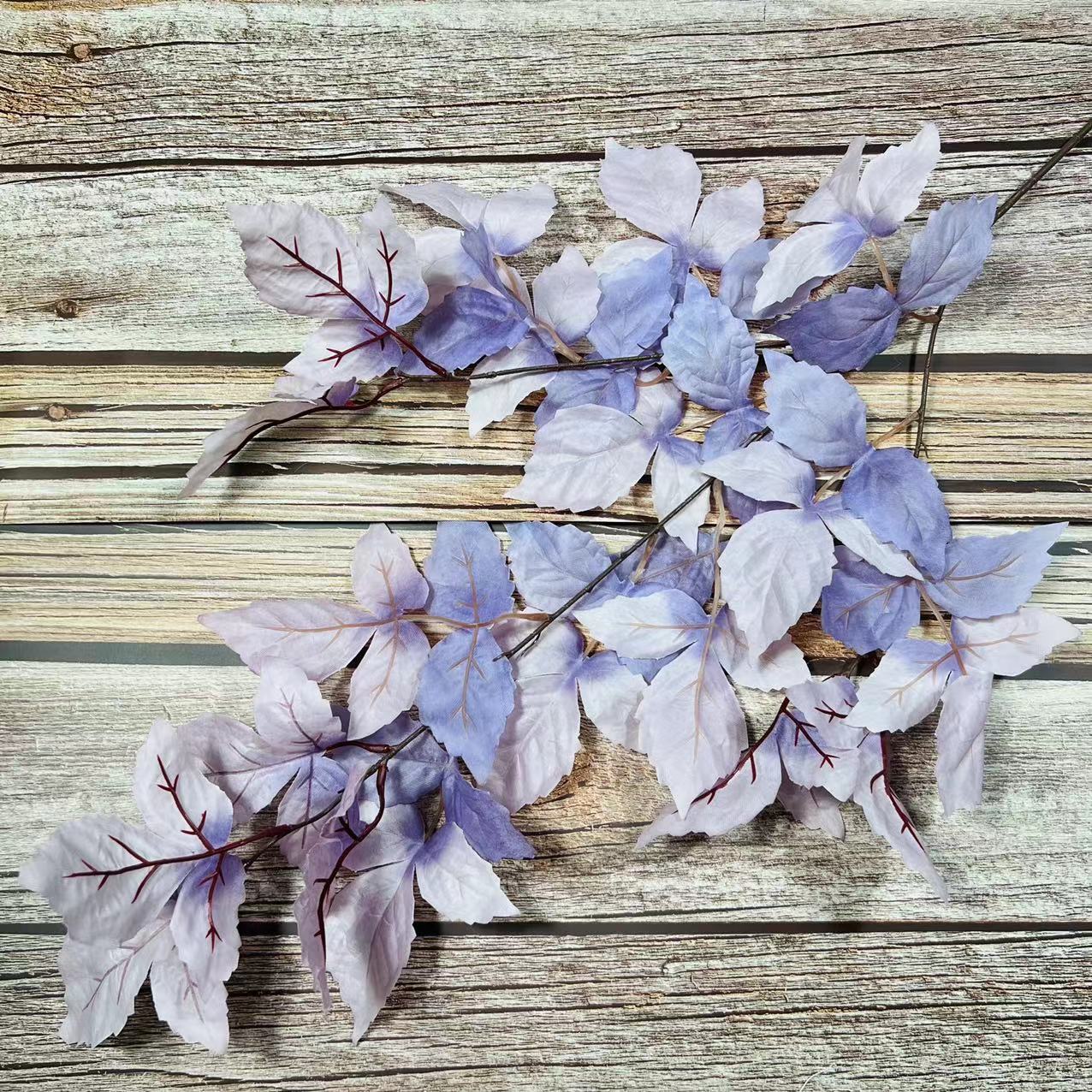 #2 foglie di manioca