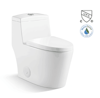 Vanité de salle De bain Wc Toilette Monobloc En Céramique Siphonique Toilettes Ensemble