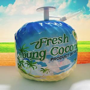 Noix de coco cueillies à la main - Product Image 6