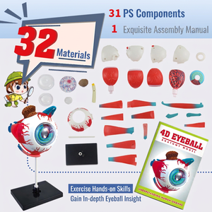 Modèle d'anatomie de l'œil 4D détachable, jouet éducatif DIY pour adolescents, biochimie pratique et basée sur la réflexion - Product Image 3