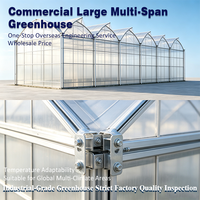 Système hydroponique industriel agricole automatique OEM, serre commerciale multi-travées à toit en dents de scie, grande structure en acier