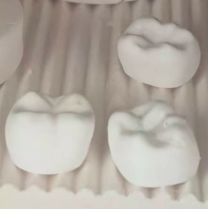 Pasta di Zirconia per Modelli Dentali, Denti Stampati in 3D, Corone Dentali Dopo Disincrostazione e Sinterizzazione - Product Image 1
