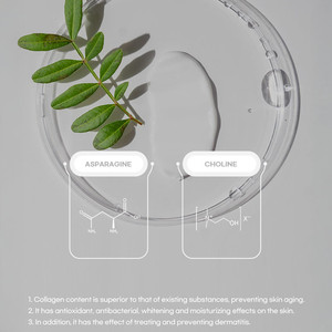 [ La Chomb ] Crème LA BLANCHE 60ml - Product Image 2