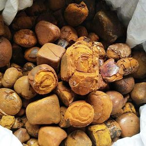 Cálculos bezoares de ganado de alta calidad, suministro al por mayor, el mejor <span class=keywords><strong>precio</strong></span> de mercado, producto de extracto animal - Product Image 2