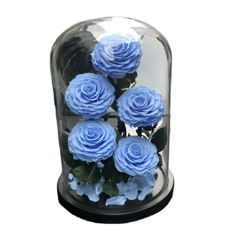 Home Wedding Valentines Flowers Preserved Rose Stabilized Rose in Glass