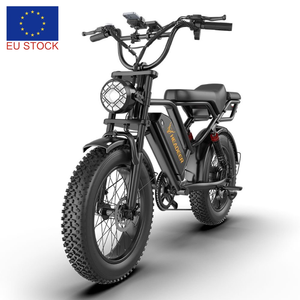 Bicicleta Eléctrica Vintage HEADEER BK20 de 20 Pulgadas, Alta Velocidad, 48V 20Ah, Disponible en Polonia y Alemania - Product Image 1