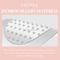 Patch hydrocolloïde pour bouton d'acné de marque privée Invisible Patch pour le traitement des taches de Microneedle Patch hydrocolloïde pour bouton d'acné